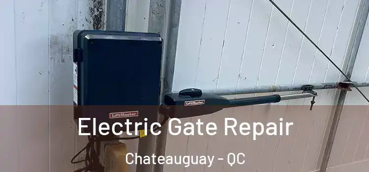  Electric Gate Repair Chateauguay - QC