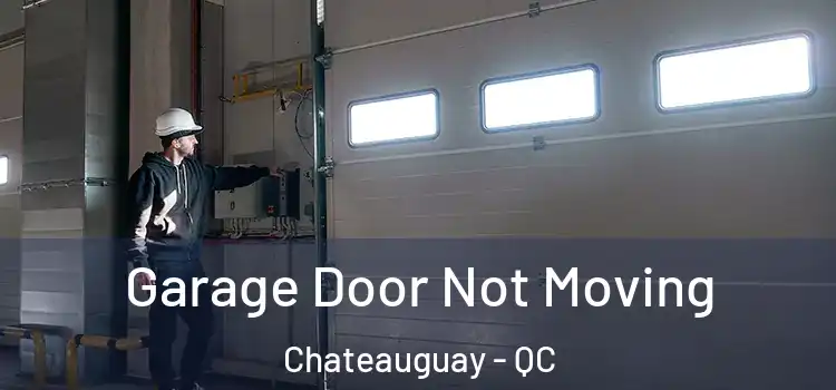  Garage Door Not Moving Chateauguay - QC