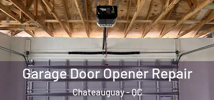  Garage Door Opener Repair Chateauguay - QC
