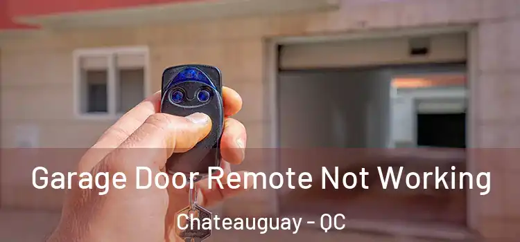  Garage Door Remote Not Working Chateauguay - QC