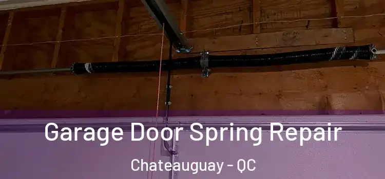  Garage Door Spring Repair Chateauguay - QC